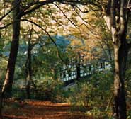 Aussenansicht Mahnertmühle vom Wald